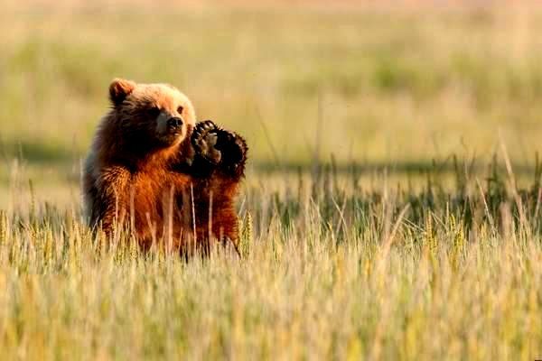 中国游戏行业迎来新秩序，监管部门发布重要指导文件以促进健康发展